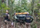 Condsef e Sindsep-DF buscam esclarecer implementação do poder de polícia da Funai