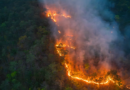 O Brasil pode estar à beira de um caos ambiental O Brasil pode estar à beira de um caos ambiental